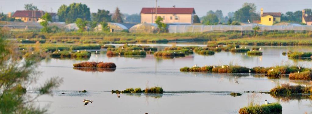 Maribeach Cavallino-Treporti Kültér fotó